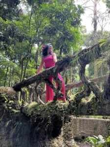 Speranta-Ionescu-Parque-Lage-Rio-de-Janeiro